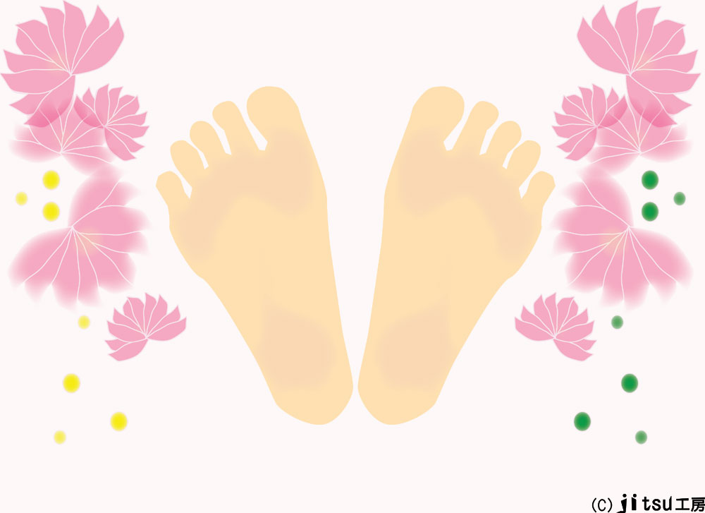 画像の説明 画像の説明