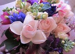 画像の説明 画像の説明