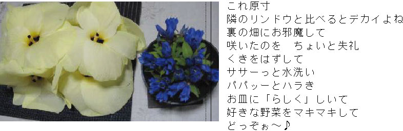 画像の説明 画像の説明