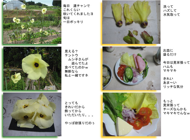 画像の説明 画像の説明