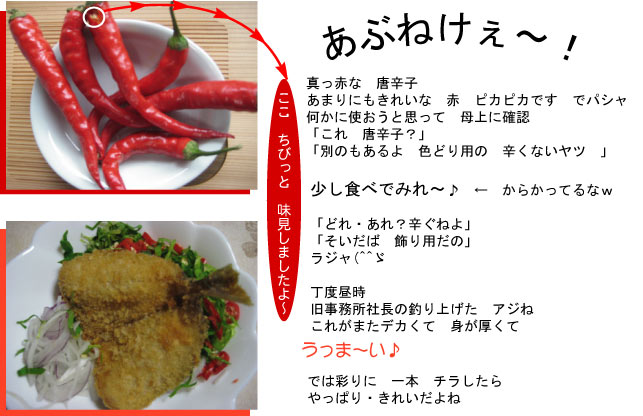 画像の説明 画像の説明