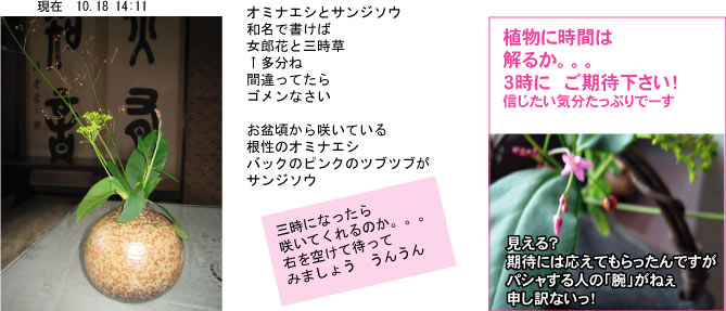 画像の説明 画像の説明