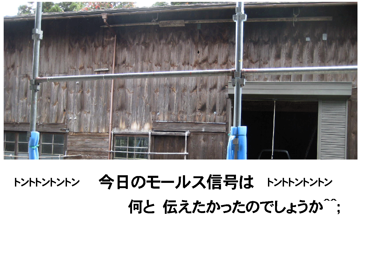 画像の説明 画像の説明