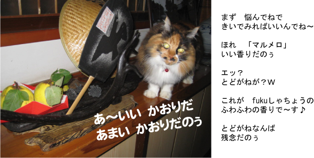 画像の説明 画像の説明