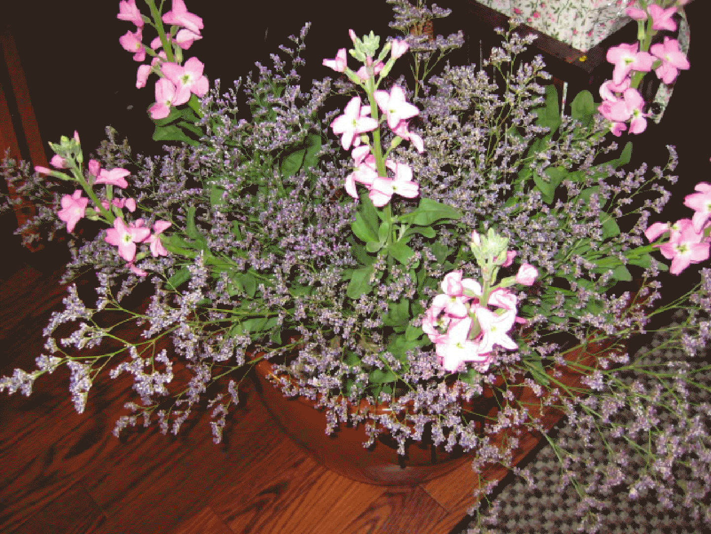 画像の説明 画像の説明