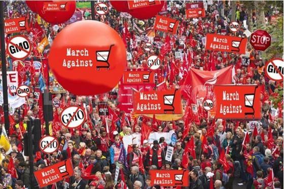 画像の説明 画像の説明