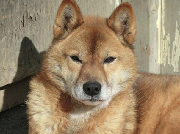 画像の説明 画像の説明