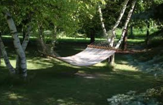 画像の説明 画像の説明