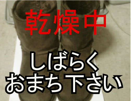 画像の説明 画像の説明