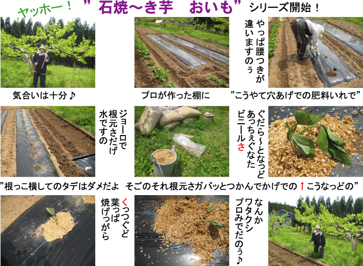 画像の説明 画像の説明