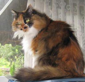 5.22fuku.jpg 5.22fuku.jpg