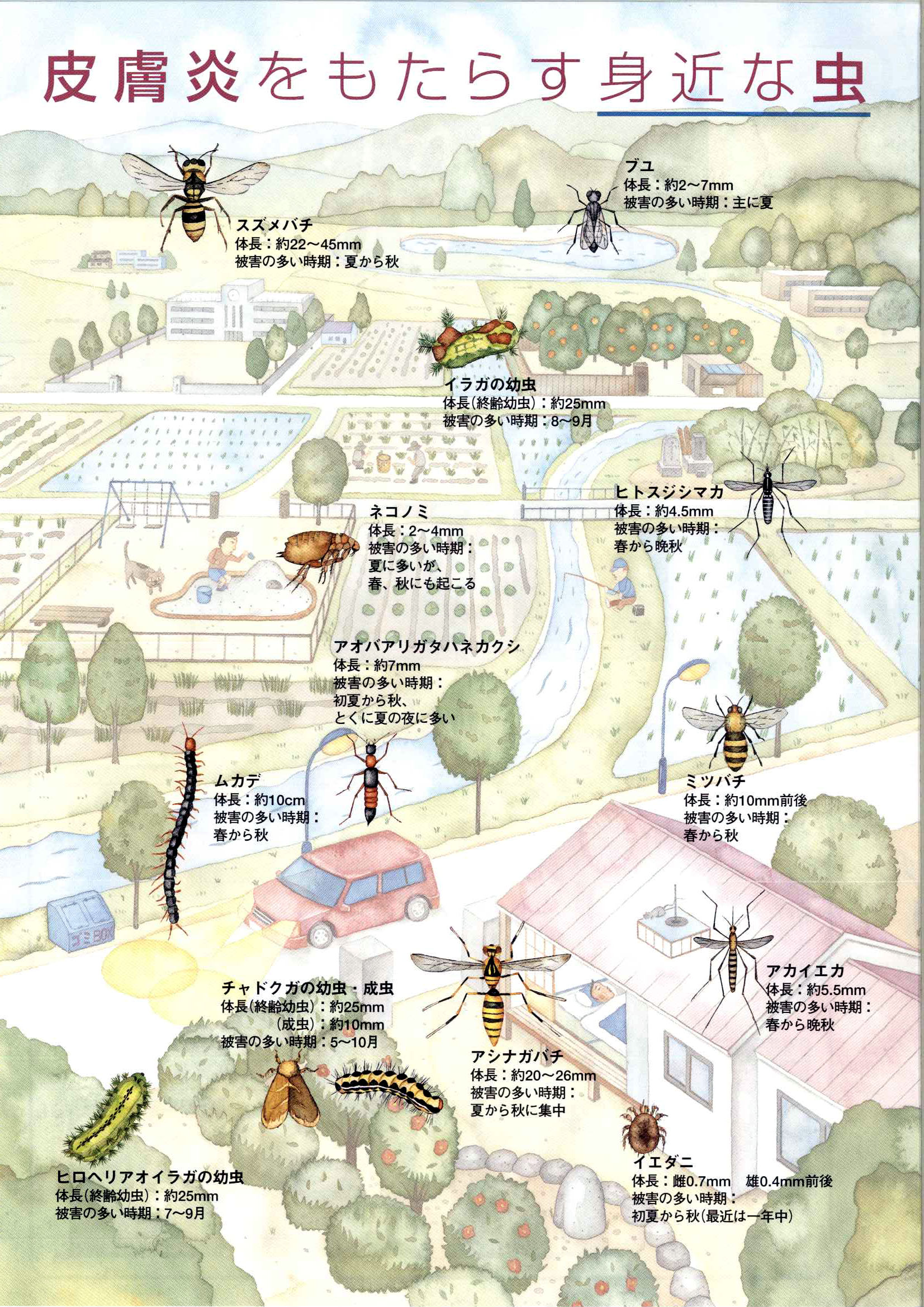 画像の説明 画像の説明