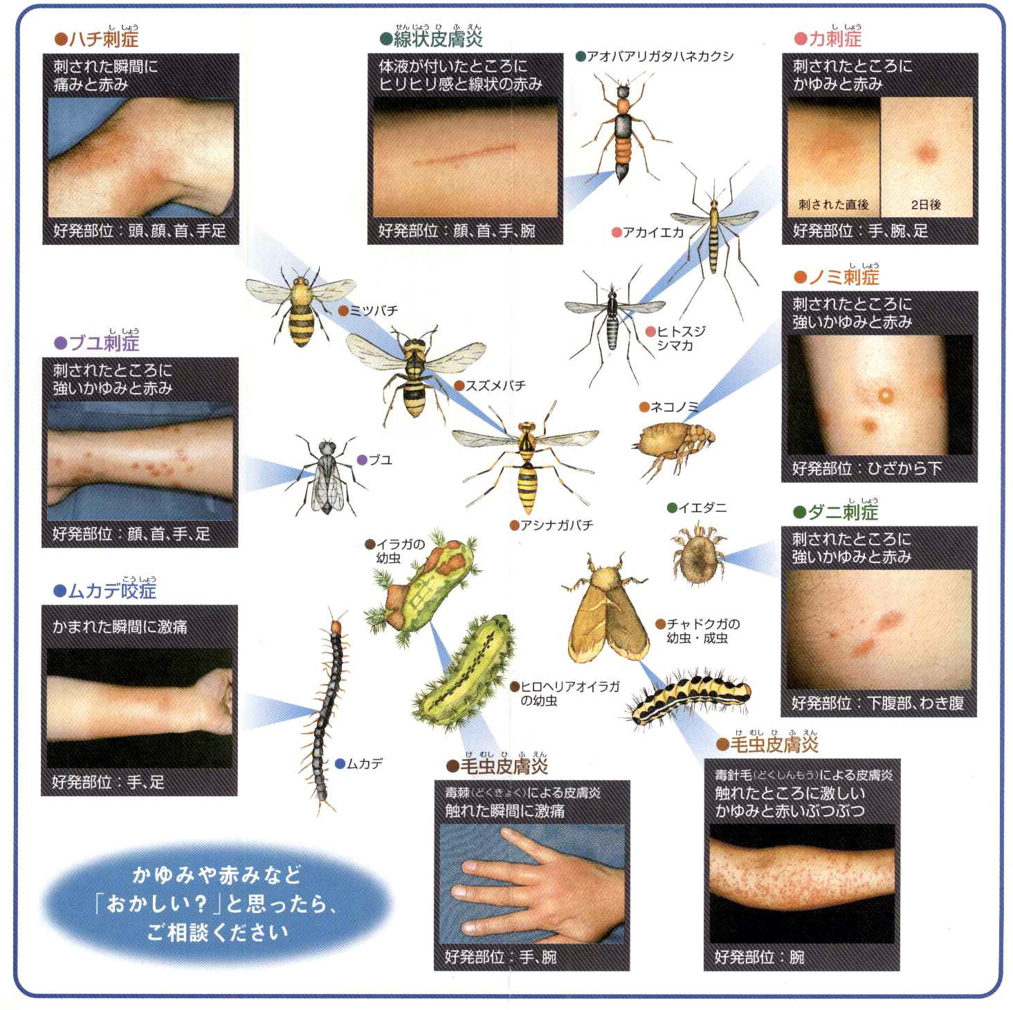 画像の説明 画像の説明