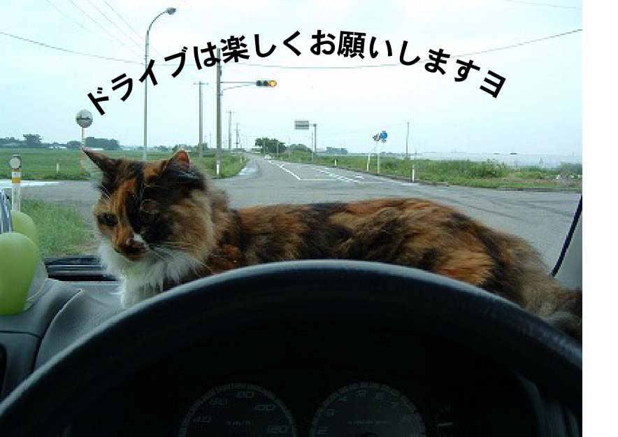 画像の説明 画像の説明