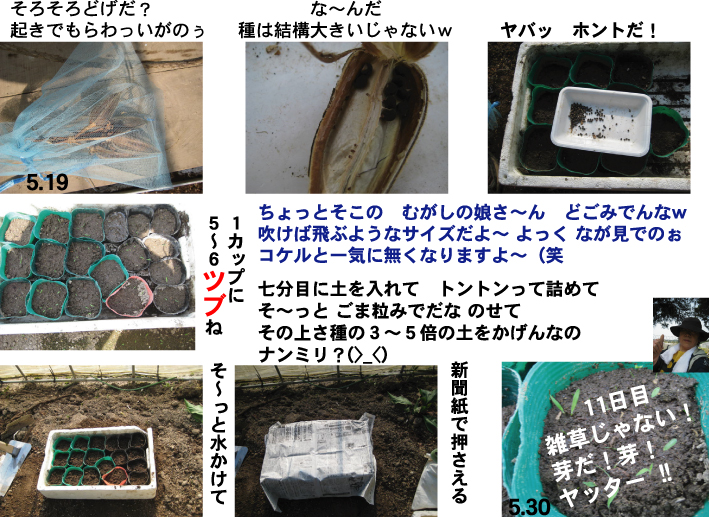 画像の説明 画像の説明