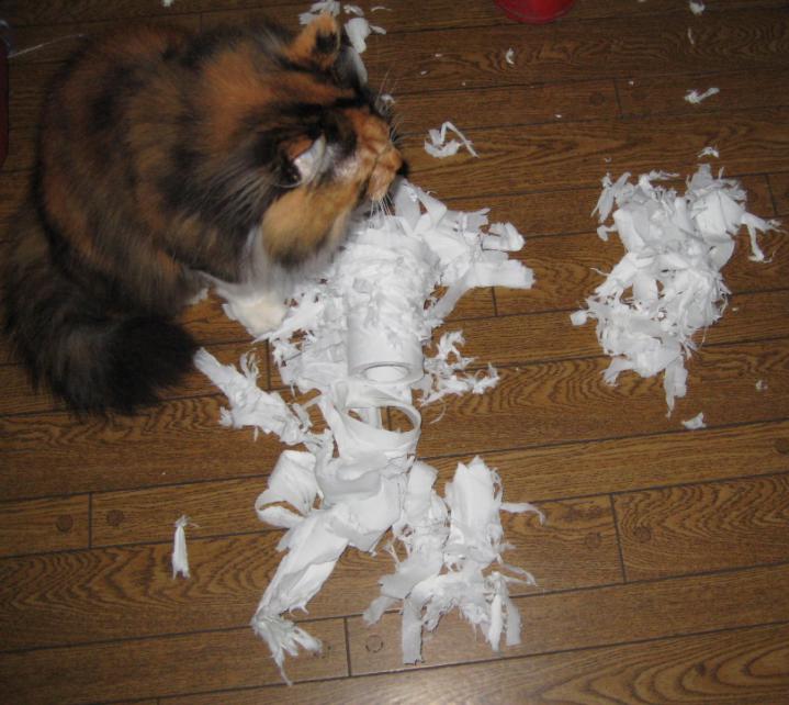 画像の説明 画像の説明