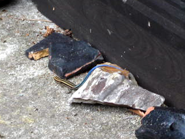 画像の説明 画像の説明