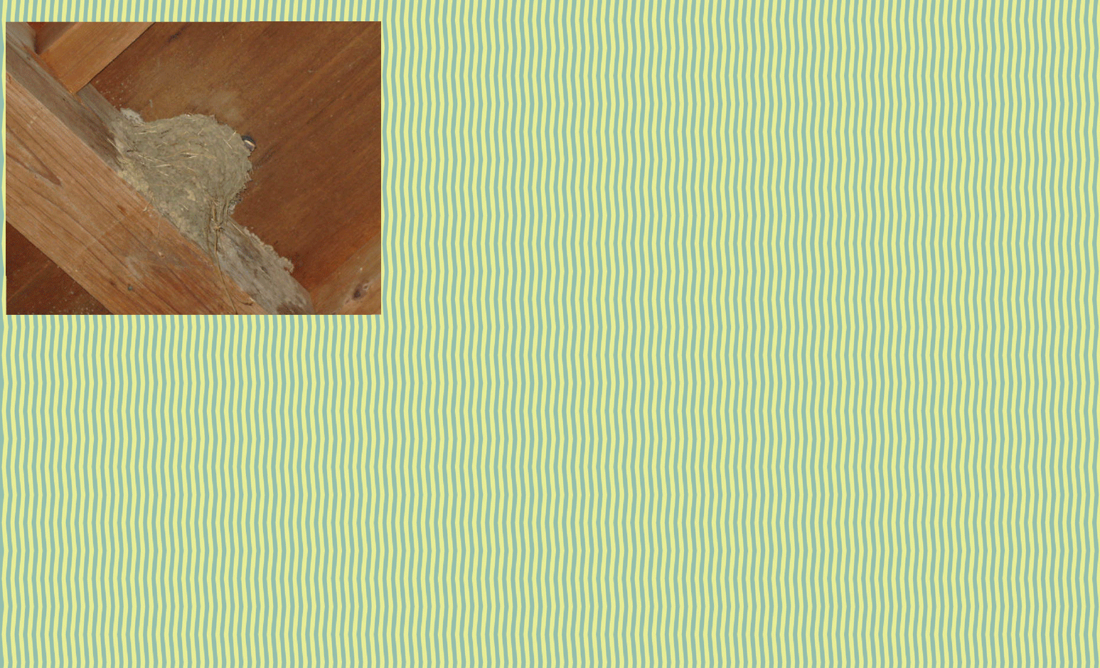 画像の説明 画像の説明