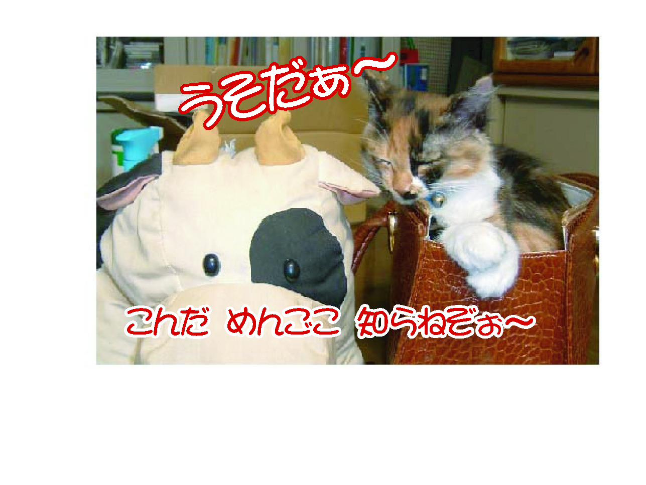 画像の説明 画像の説明