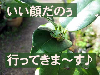 画像の説明 画像の説明