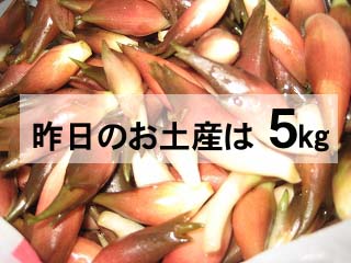 画像の説明 画像の説明