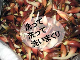 画像の説明 画像の説明