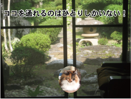 画像の説明 画像の説明