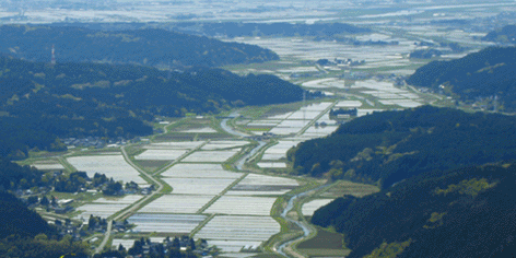 HARUmidasi.gif HARUmidasi.gif