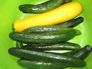 画像の説明 画像の説明