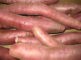 画像の説明 画像の説明