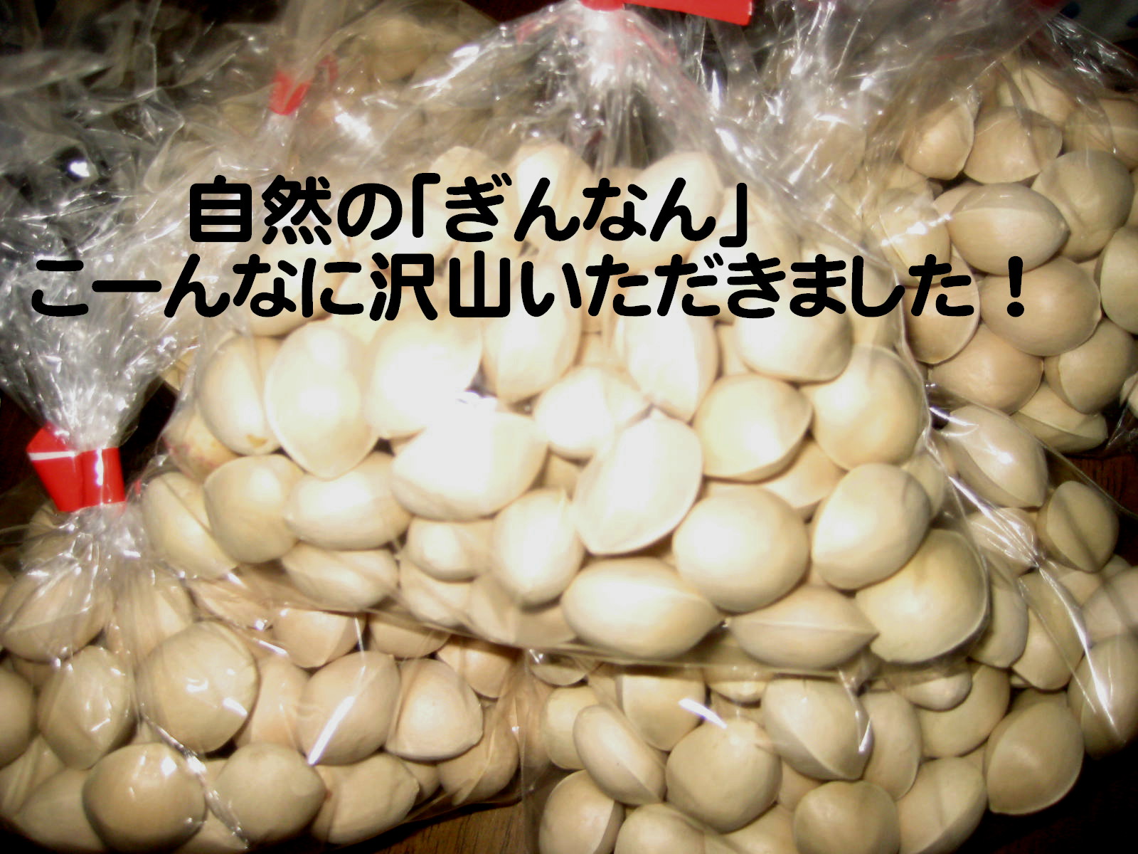 画像の説明 画像の説明