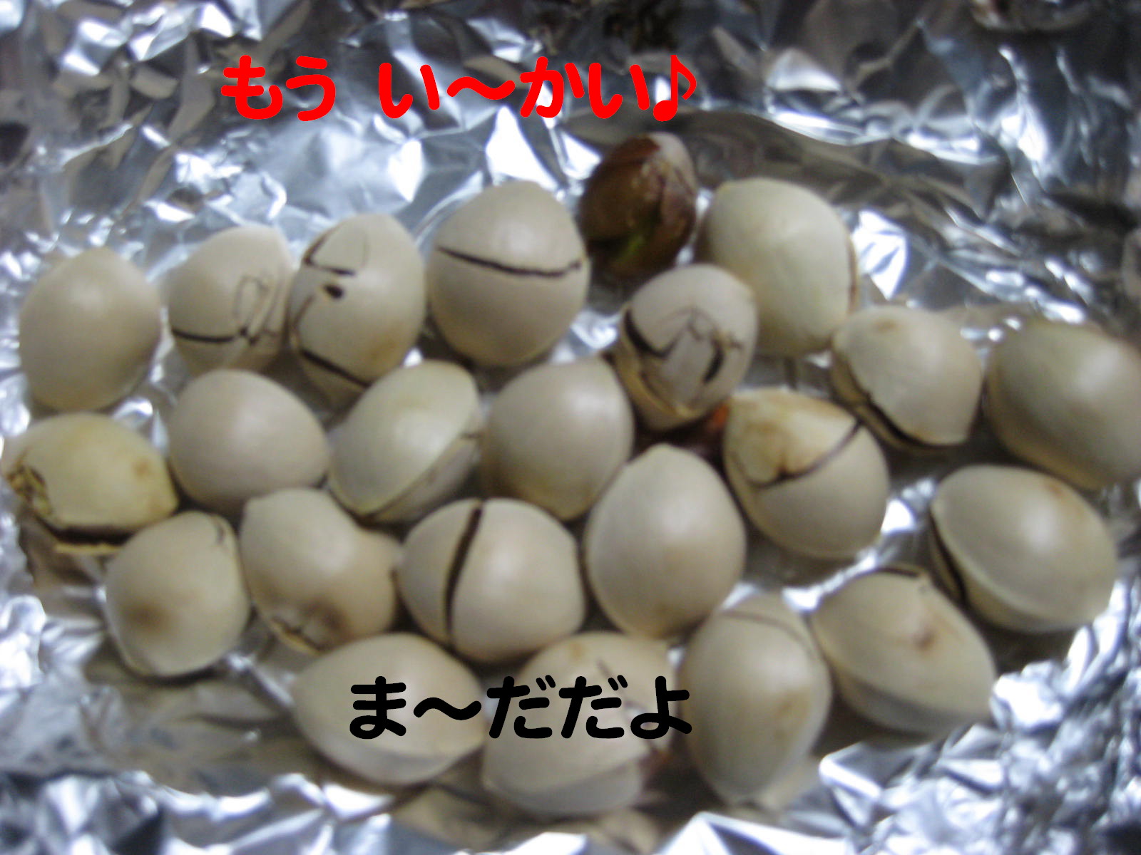 画像の説明 画像の説明