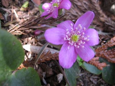 画像の説明 画像の説明