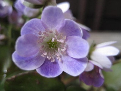 画像の説明 画像の説明