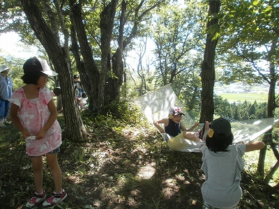 画像の説明 画像の説明