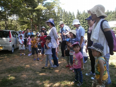 画像の説明 画像の説明