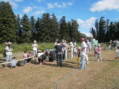 画像の説明 画像の説明