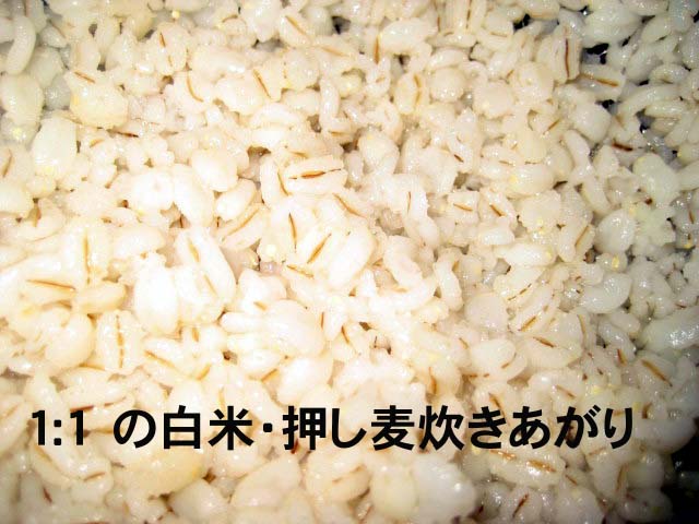 IMG_3854 のコピー IMG_3854 のコピー