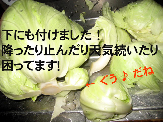 IMG_7642 のコピー IMG_7642 のコピー