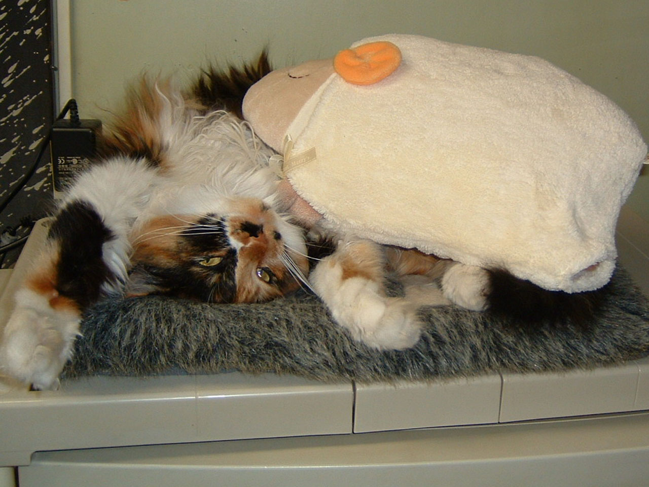 K DSCF0014 のコピー K DSCF0014 のコピー