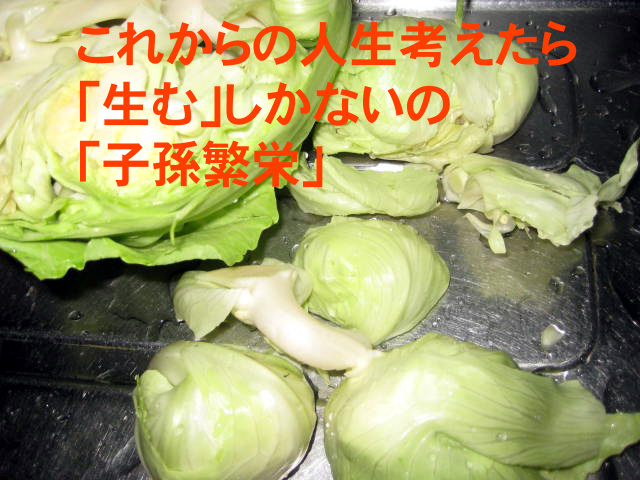 IMG_7637 のコピー IMG_7637 のコピー