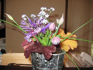 画像の説明 画像の説明