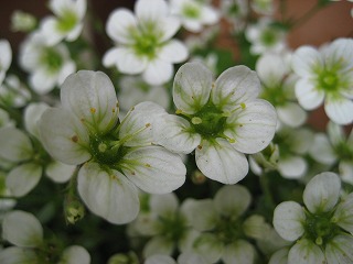 画像の説明 画像の説明