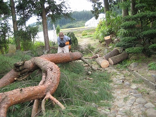 画像の説明 画像の説明