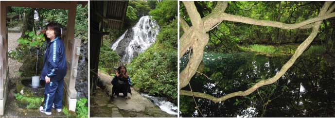 画像の説明 画像の説明