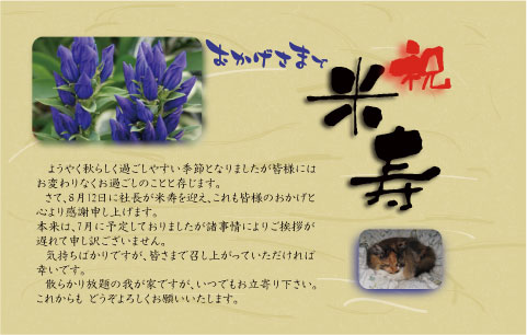 画像の説明 画像の説明