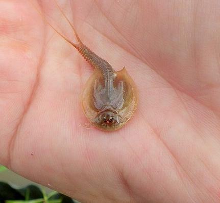 画像の説明 画像の説明